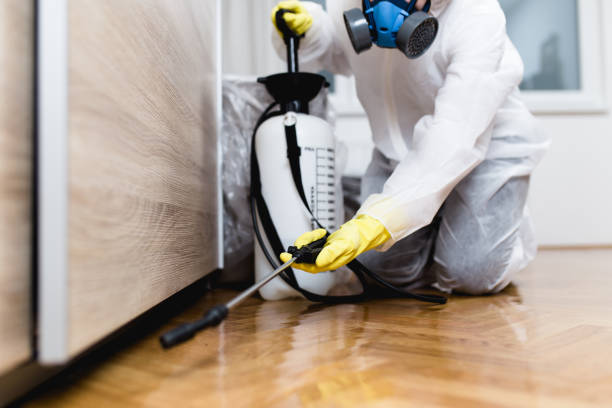 Best Pest Removal Services  in Glen Allen, VA