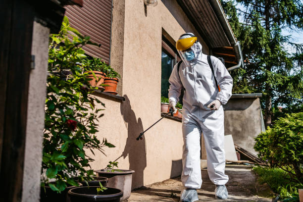 Best Bed Bug Extermination  in Glen Allen, VA