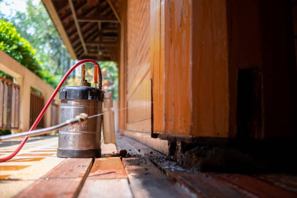 Best Rat Extermination Near Me  in Glen Allen, VA